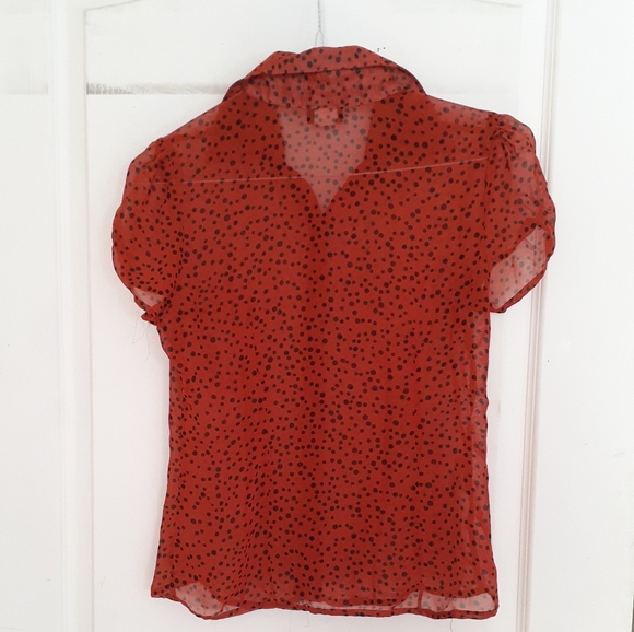 Moss Red Sheer Blouse with Black Polka Dots - Picture 4 of 5